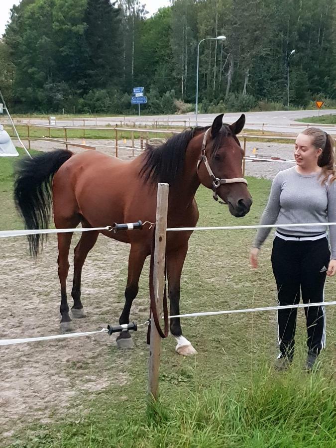 Myskje Gard Gastgiveri Soderala Zewnętrze zdjęcie