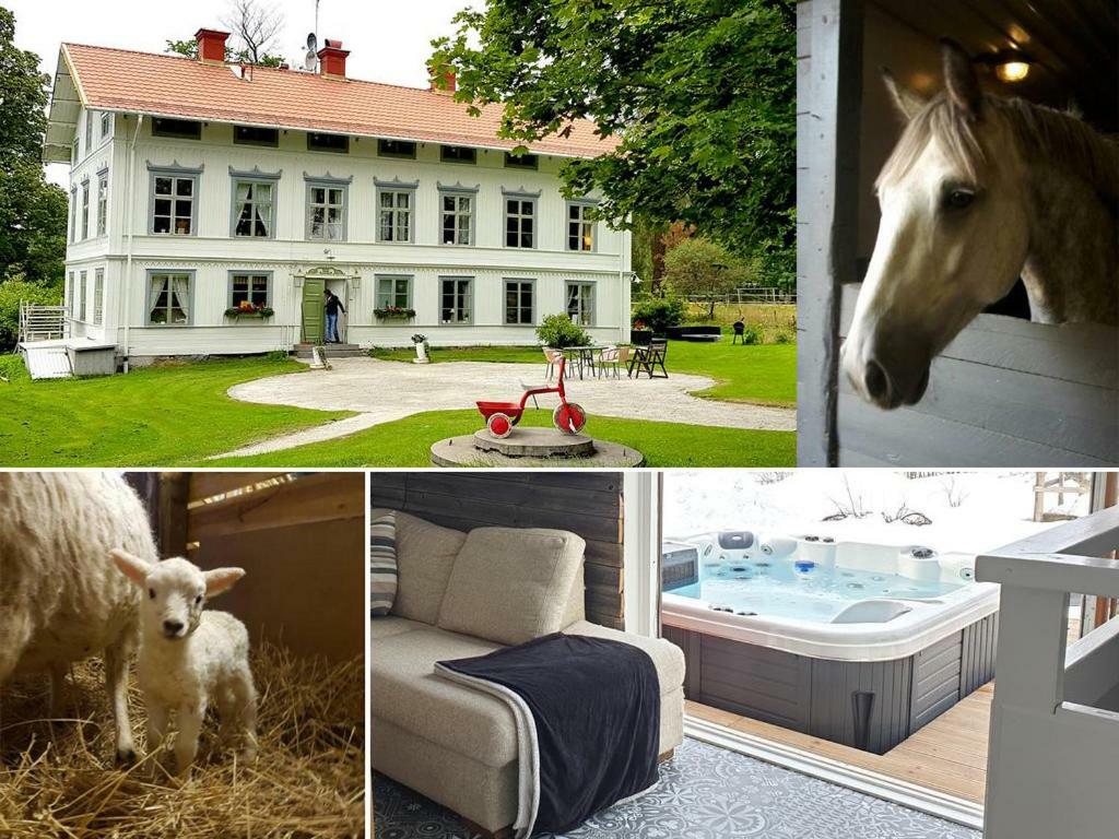 Myskje Gard Gastgiveri Soderala Zewnętrze zdjęcie